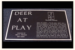 Deer-at-Play