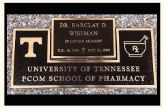 Dr.-Wiseman